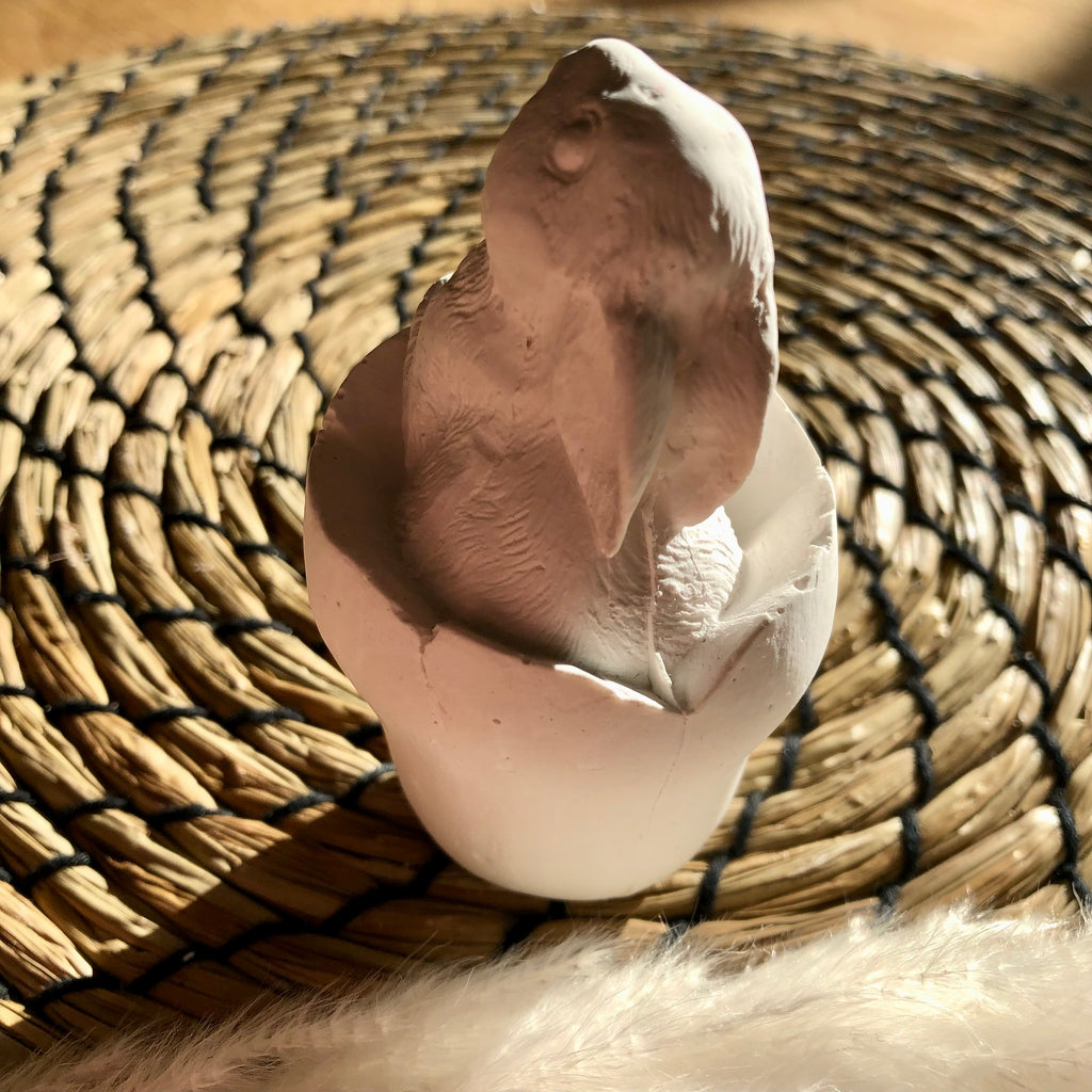 Osterhase im Ei