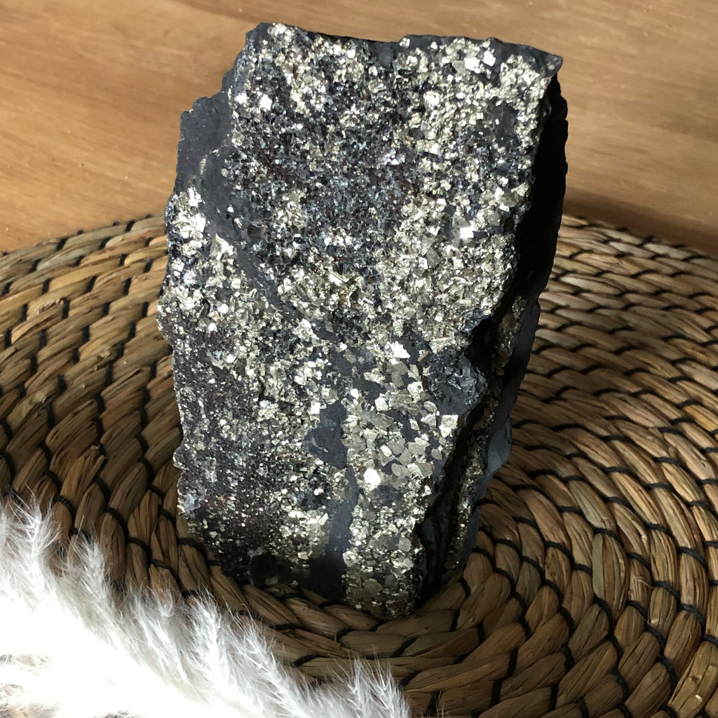 Schungit mit Pyrit freistehend (groß)