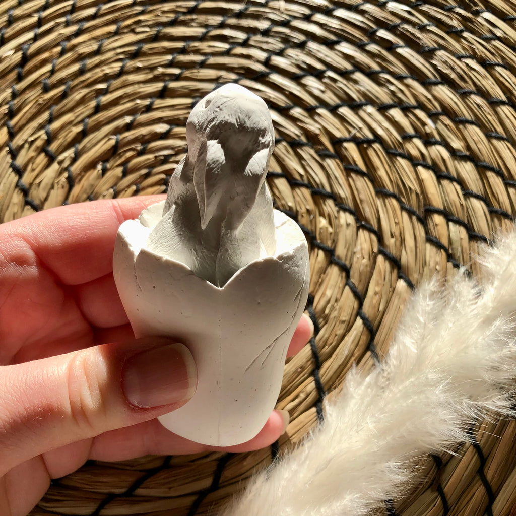 Osterhase im Ei