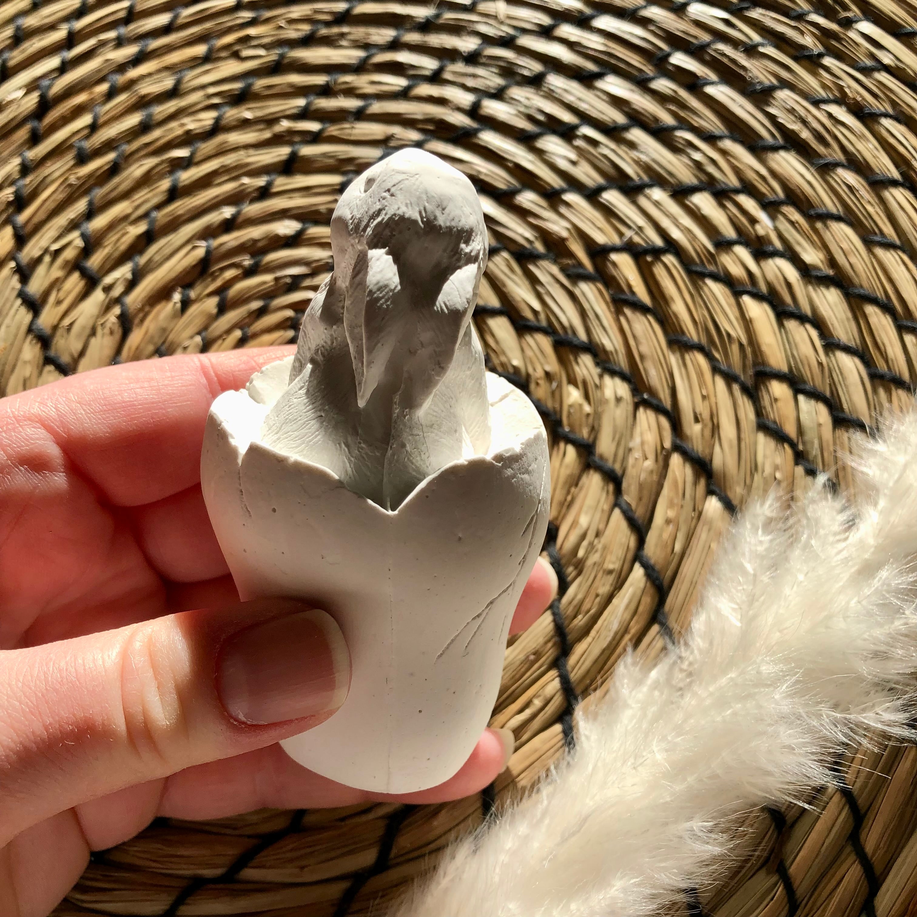 Osterhase im Ei