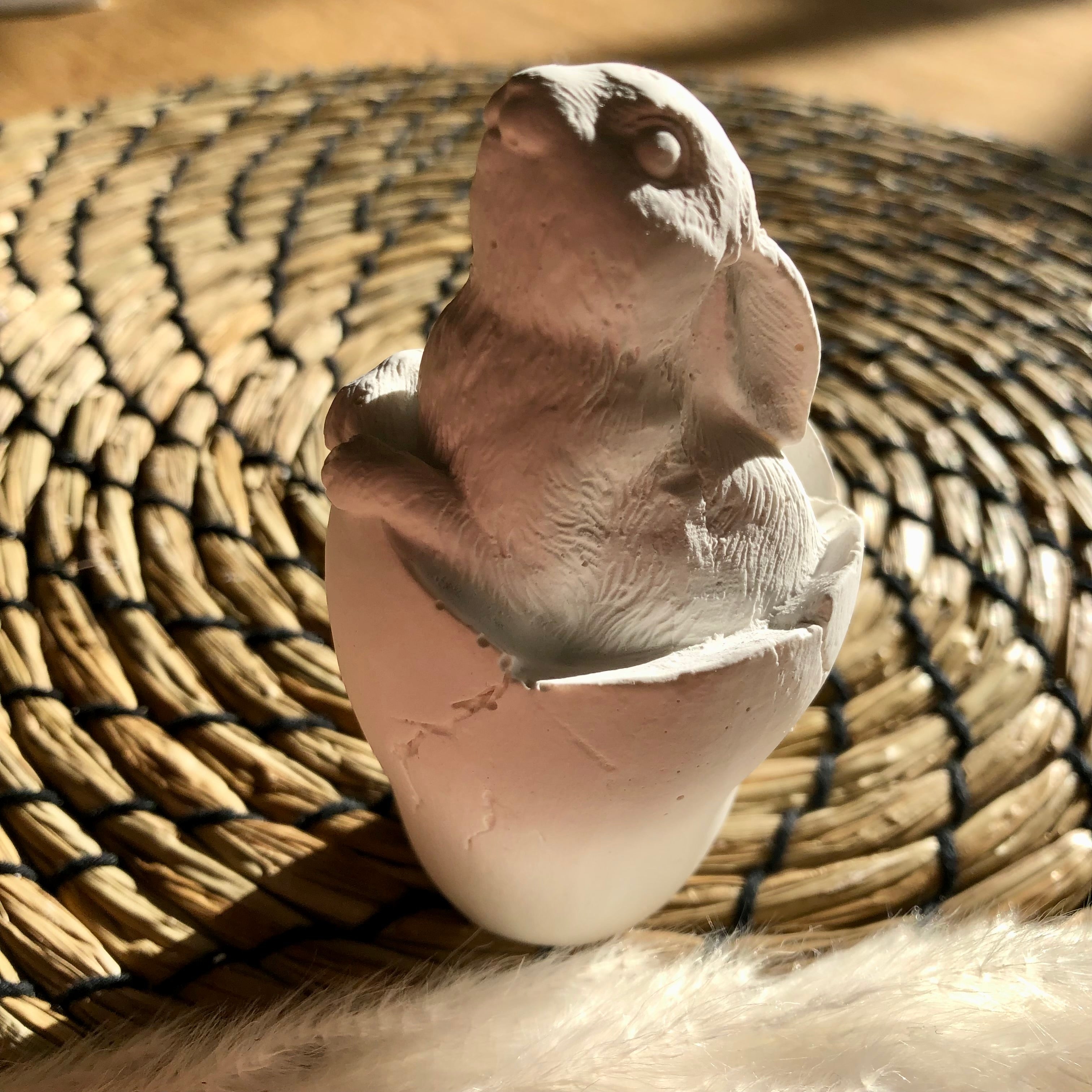 Osterhase im Ei