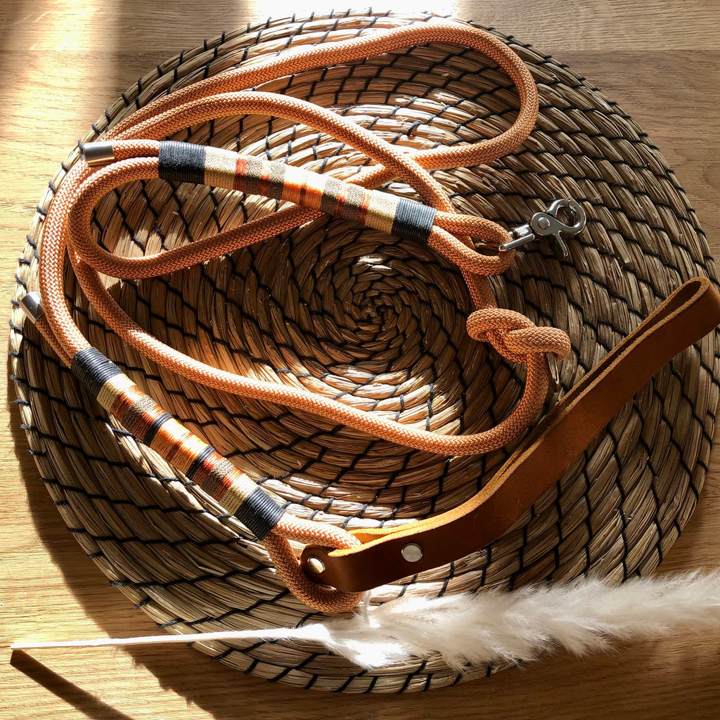 Exklusive Hundeleine Gold Kupfer