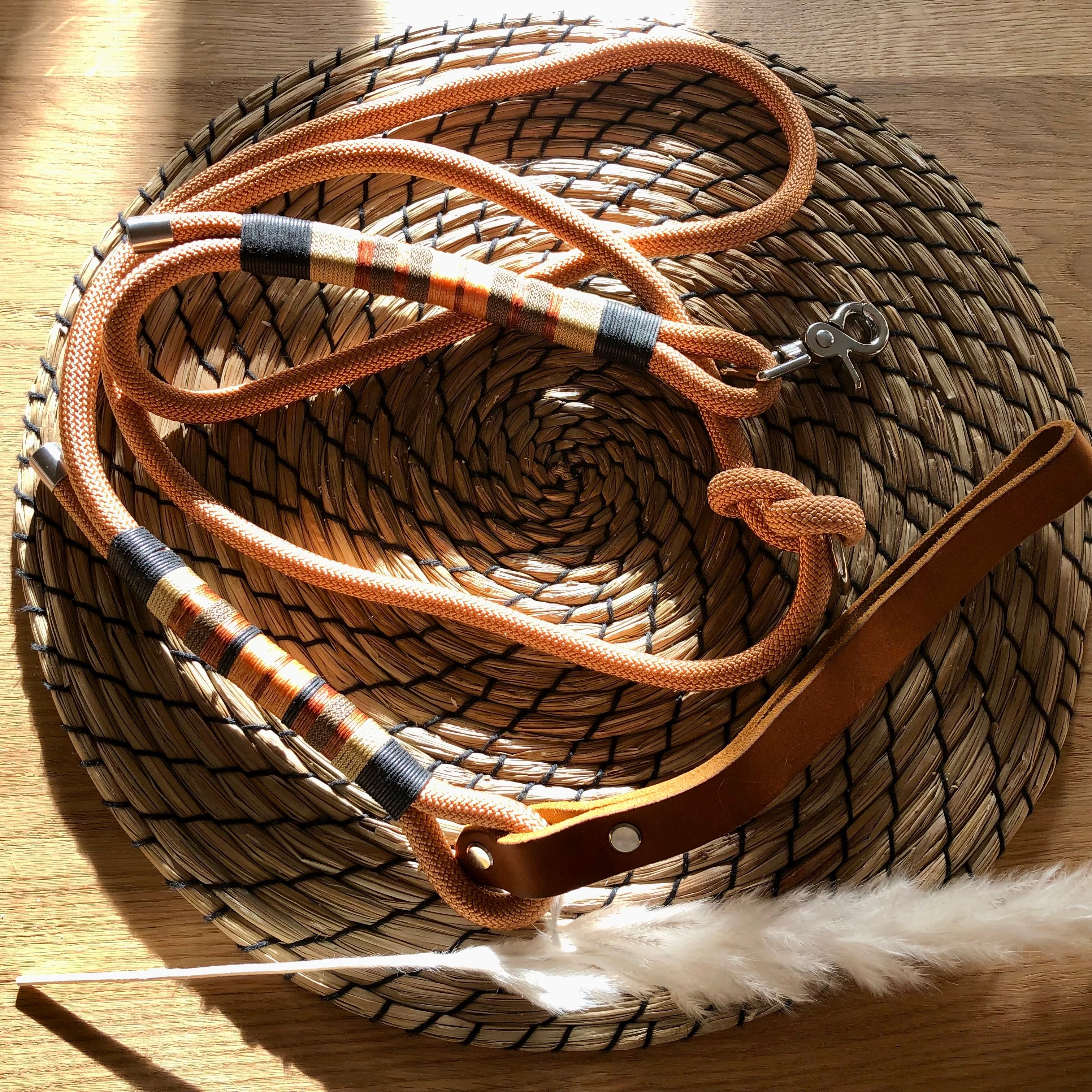 Exklusive Hundeleine Gold Kupfer