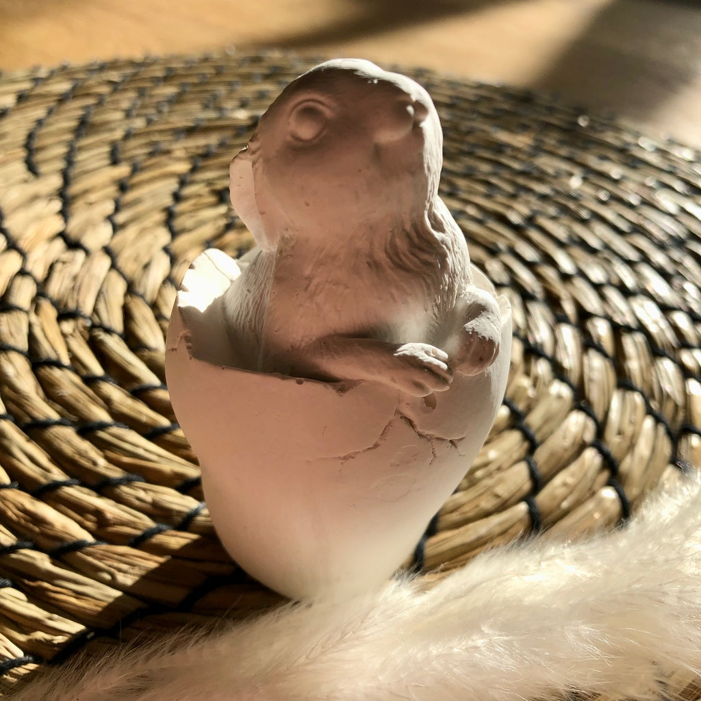 Osterhase im Ei