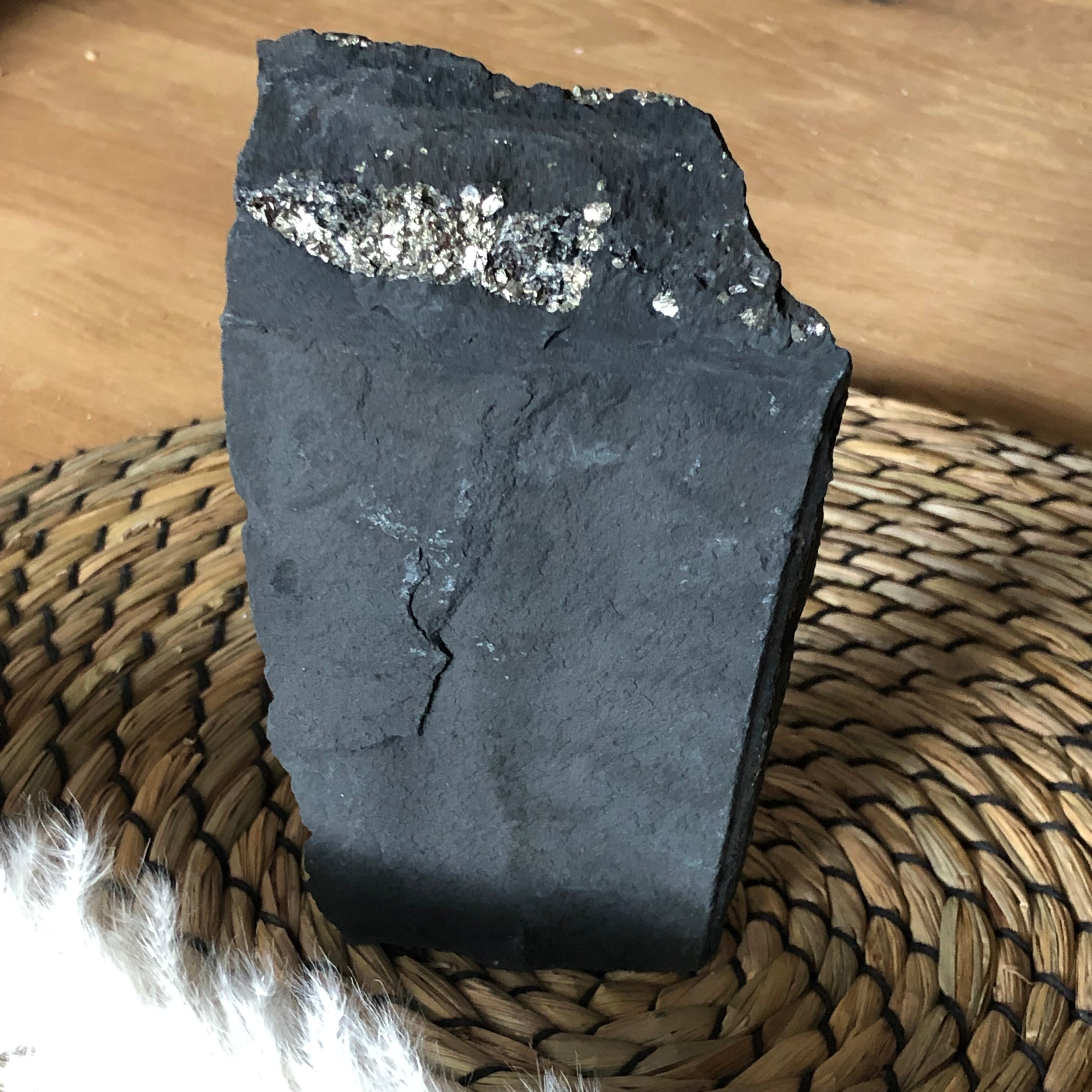 Schungit mit Pyrit freistehend (groß)