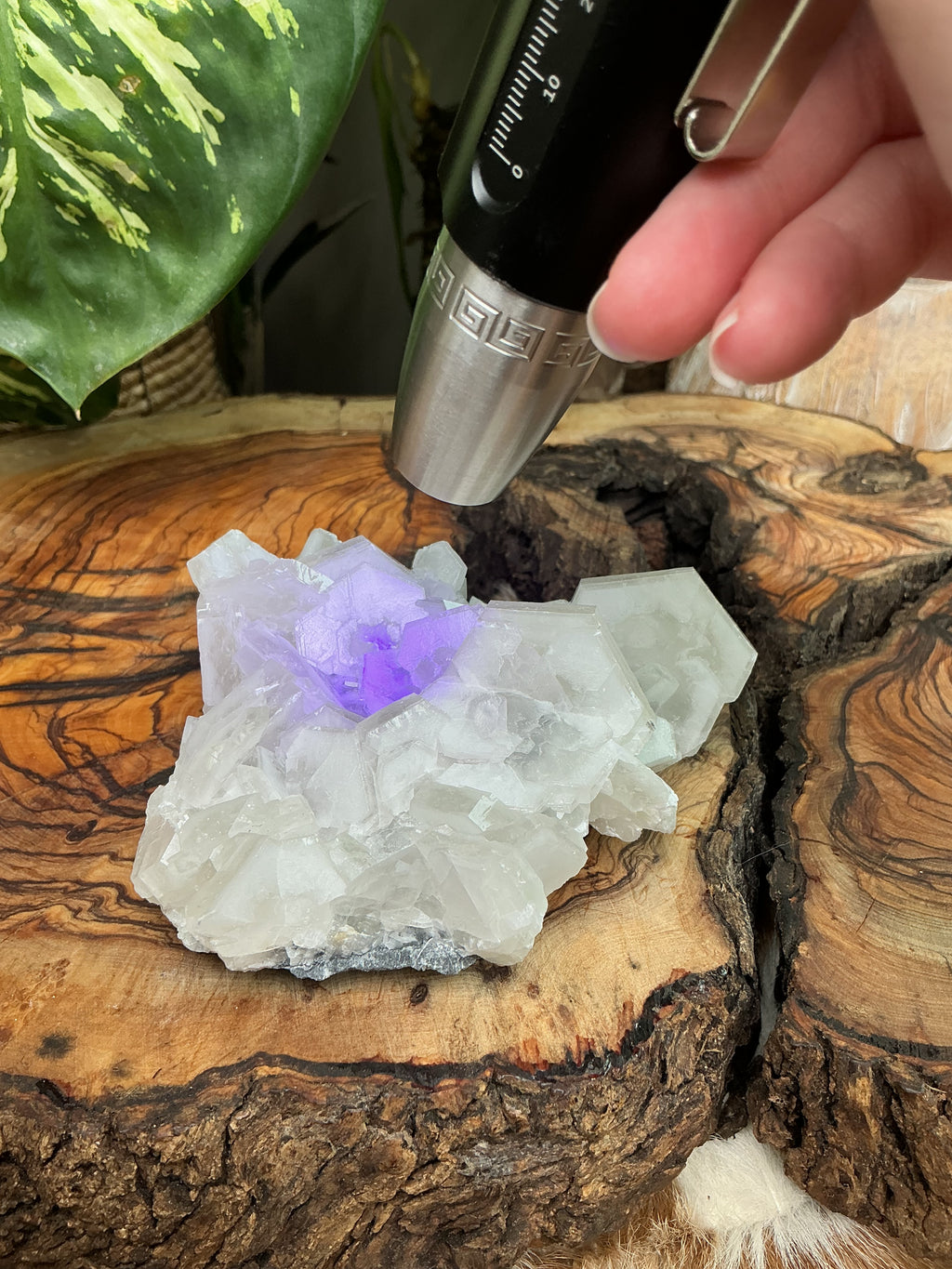 Calcit in fantastischer Hexagon Formation