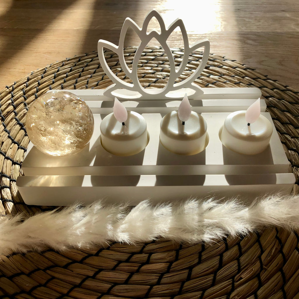 Lotus Einschieber Halter