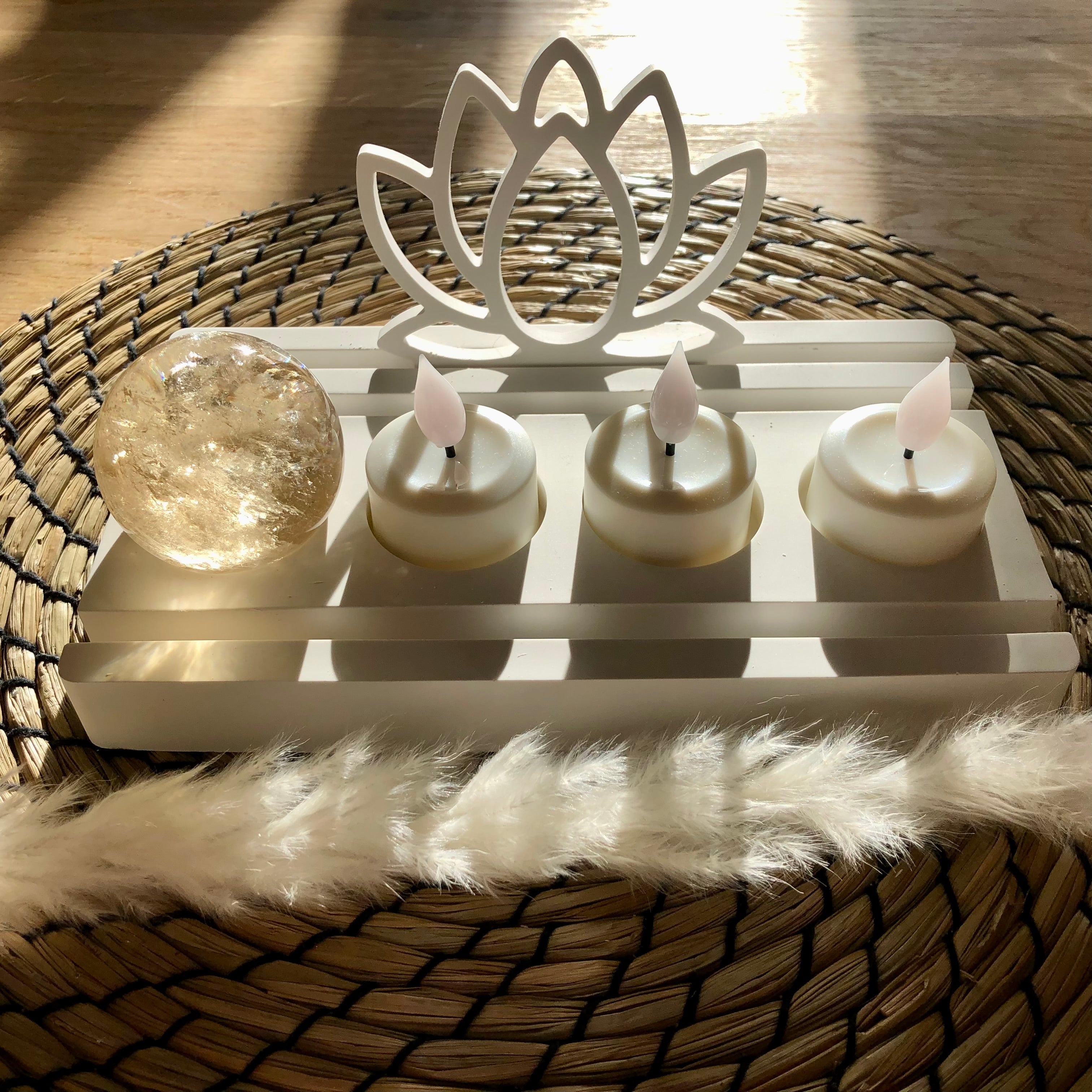 Lotus Einschieber Halter