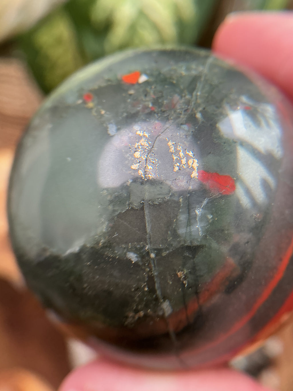 Drachenblutjaspis mit Pyrit