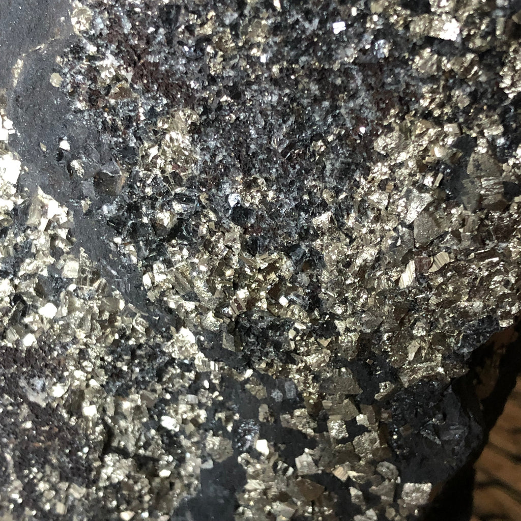 Schungit mit Pyrit freistehend (groß)
