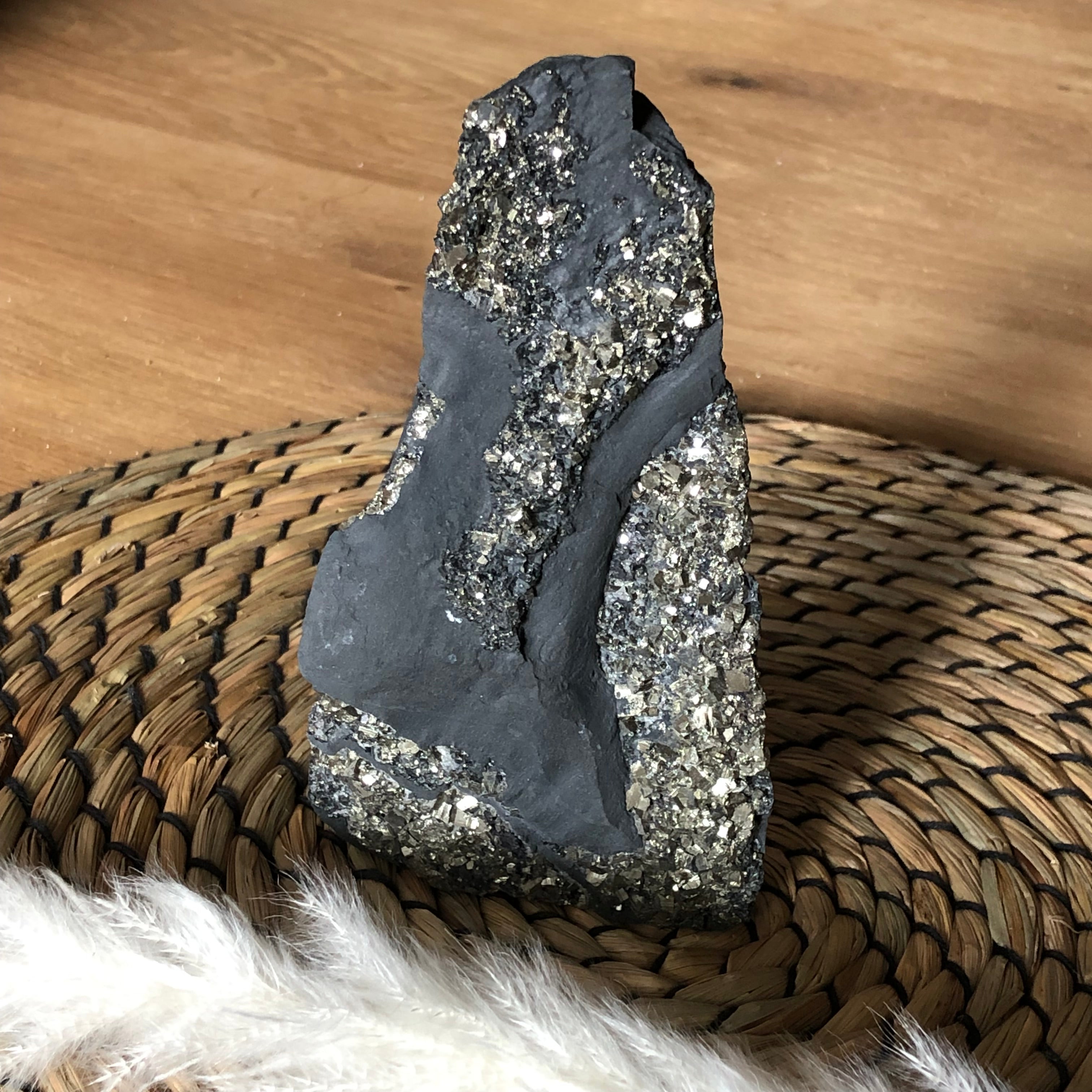 Schungit mit Pyrit freistehend Brasilien