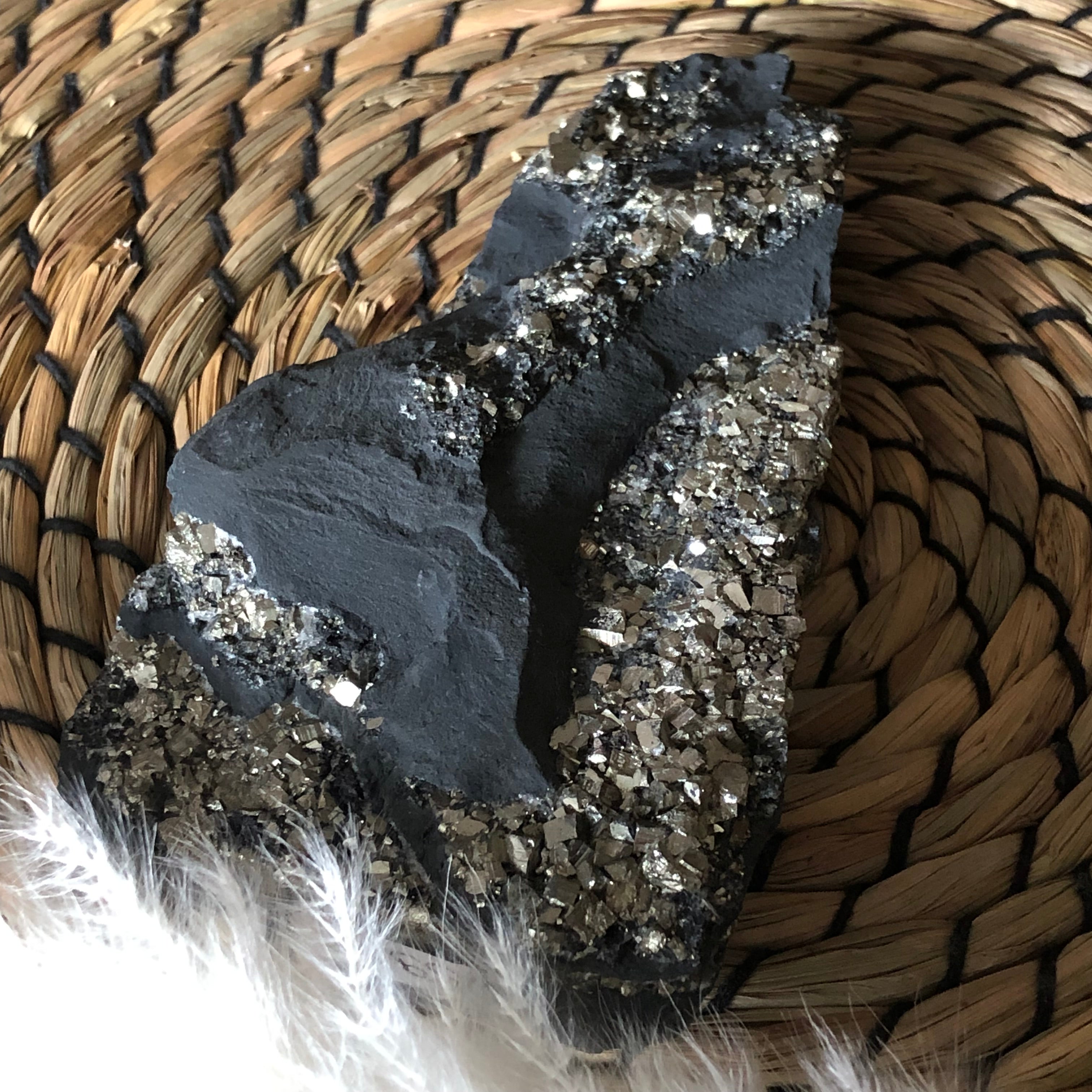 Schungit mit Pyrit freistehend Brasilien