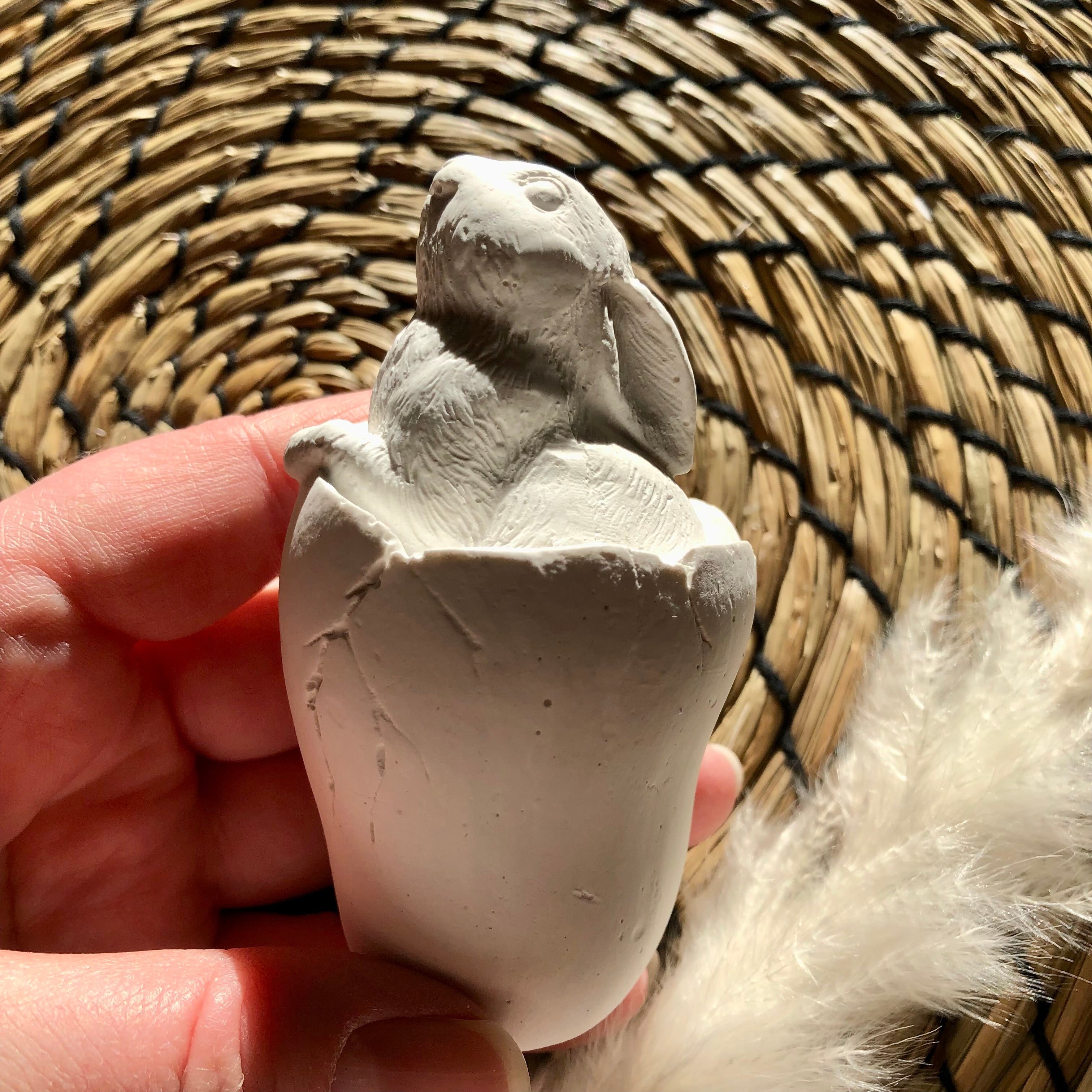 Osterhase im Ei