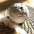 Vollmond Schatulle