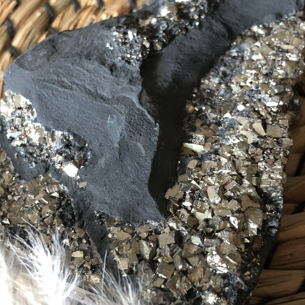 Schungit mit Pyrit freistehend Brasilien