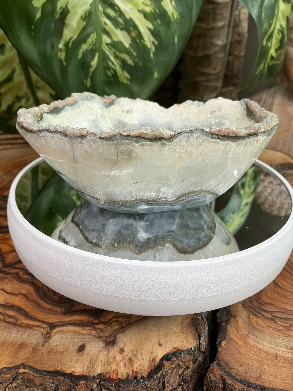 Fluorit mit Pyrit Schale