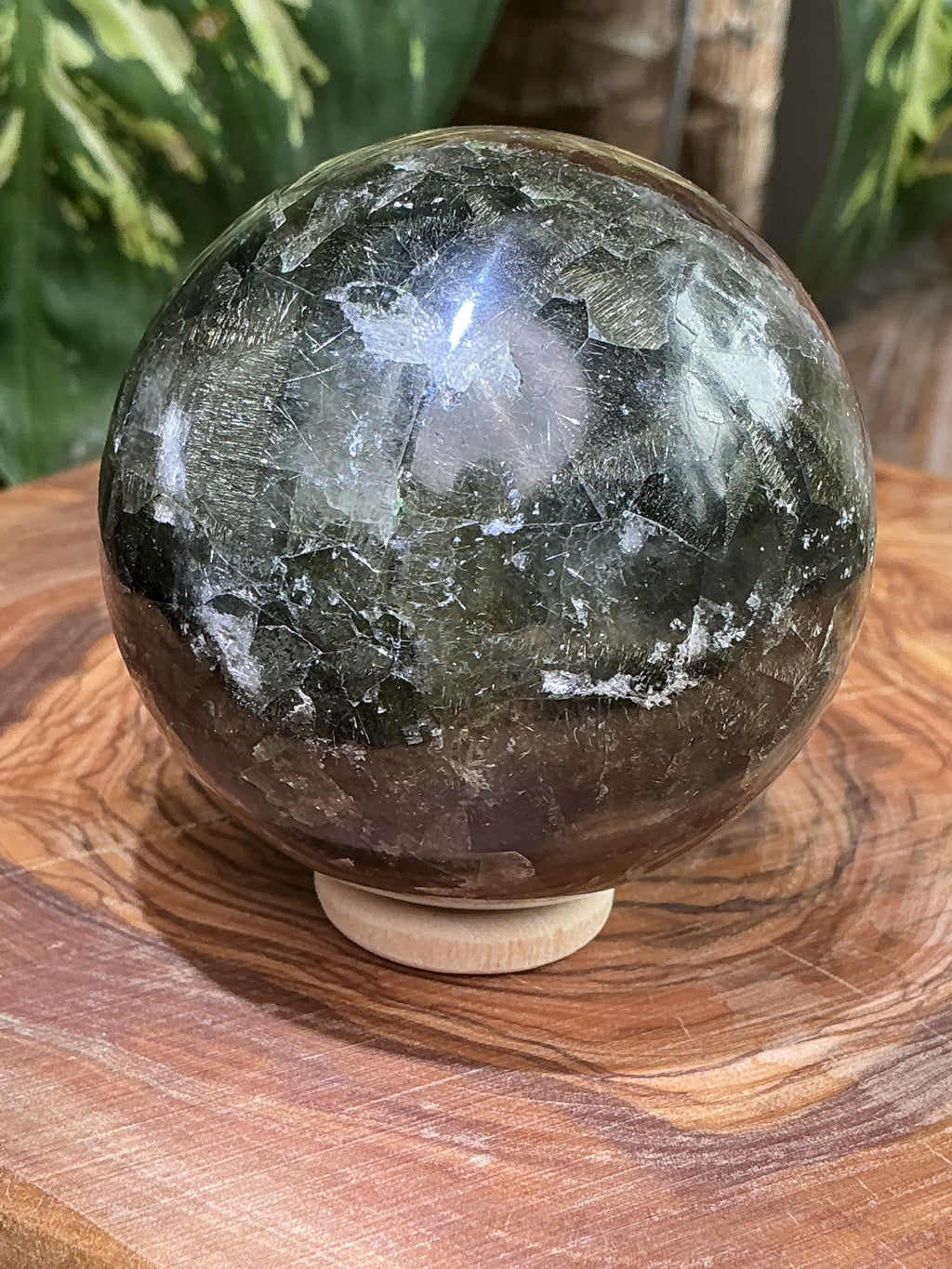 Rutilfederfluorit mit Amphibol und Pyrit