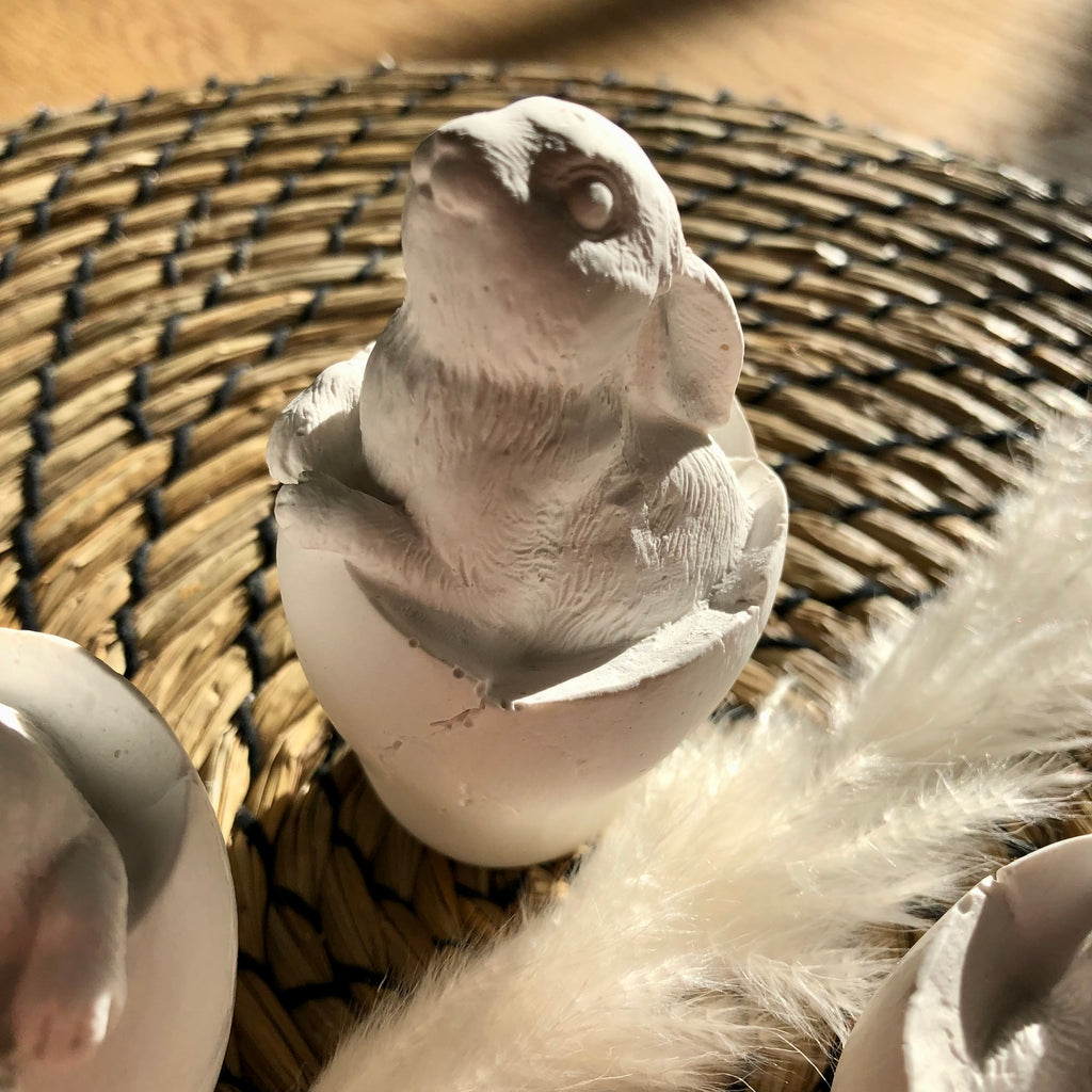 Osterhase im Ei