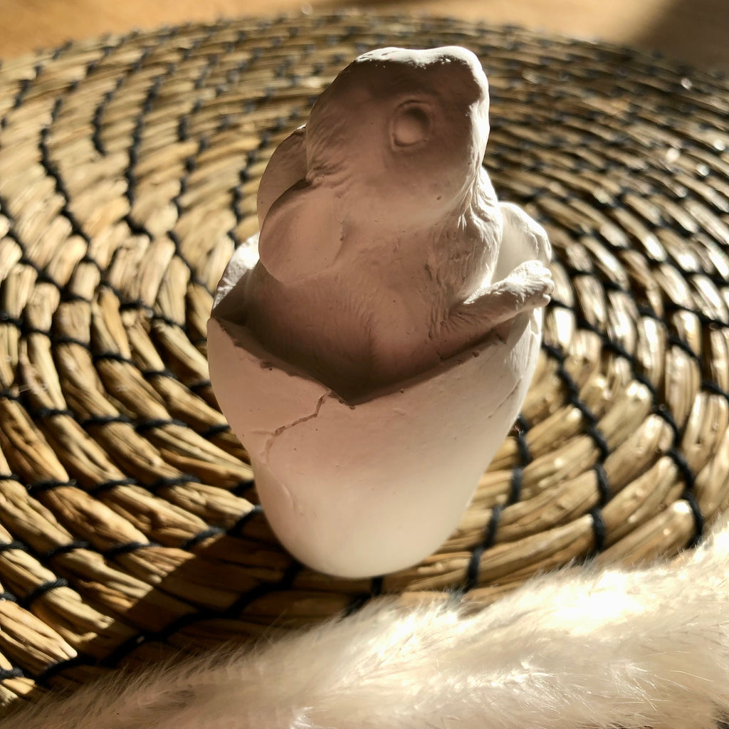 Osterhase im Ei