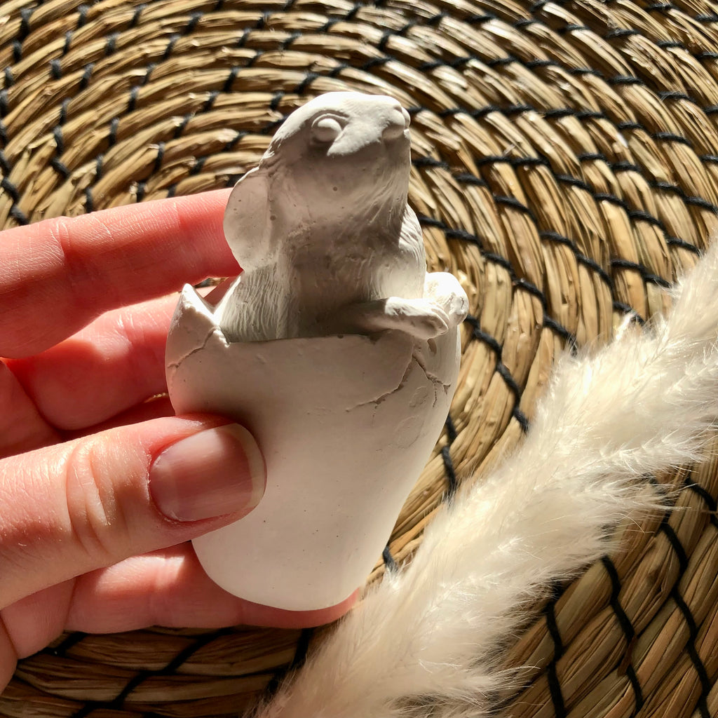 Osterhase im Ei