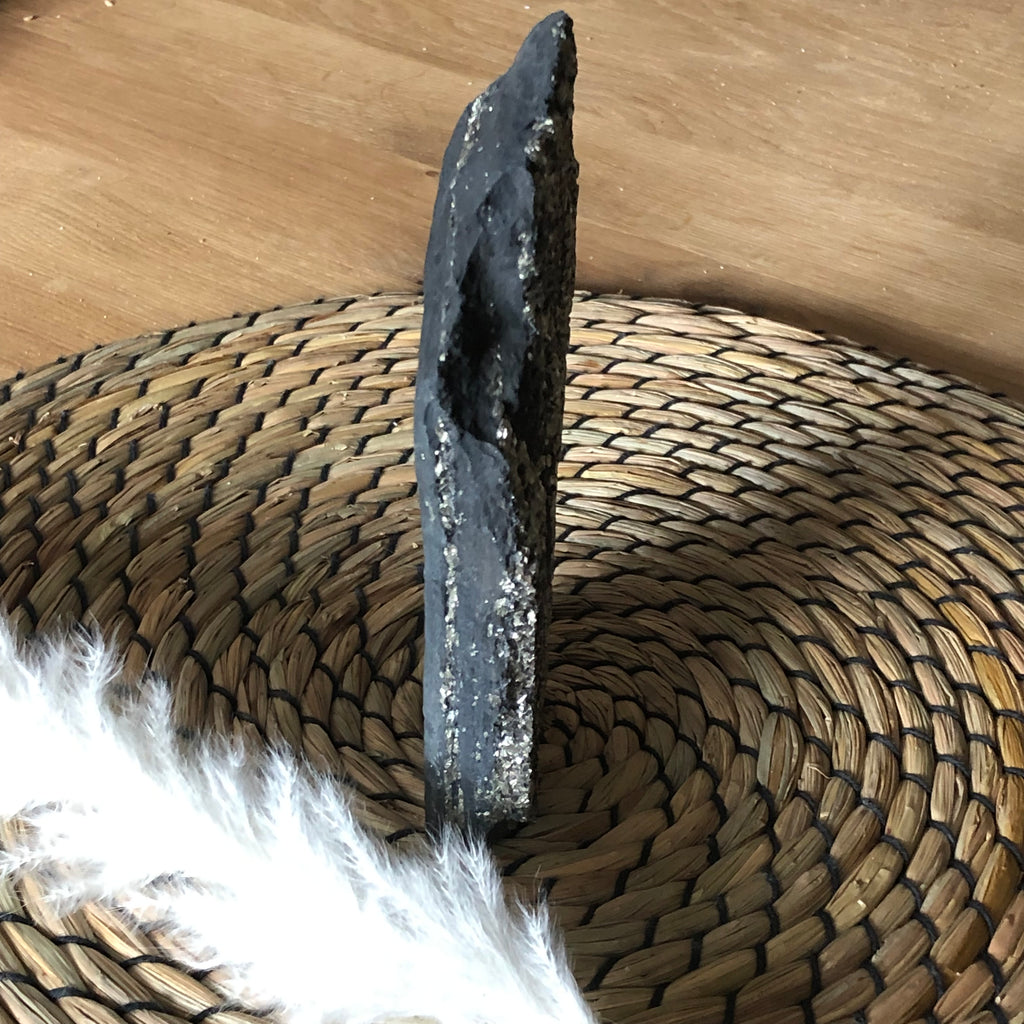 Schungit mit Pyrit freistehend (groß)