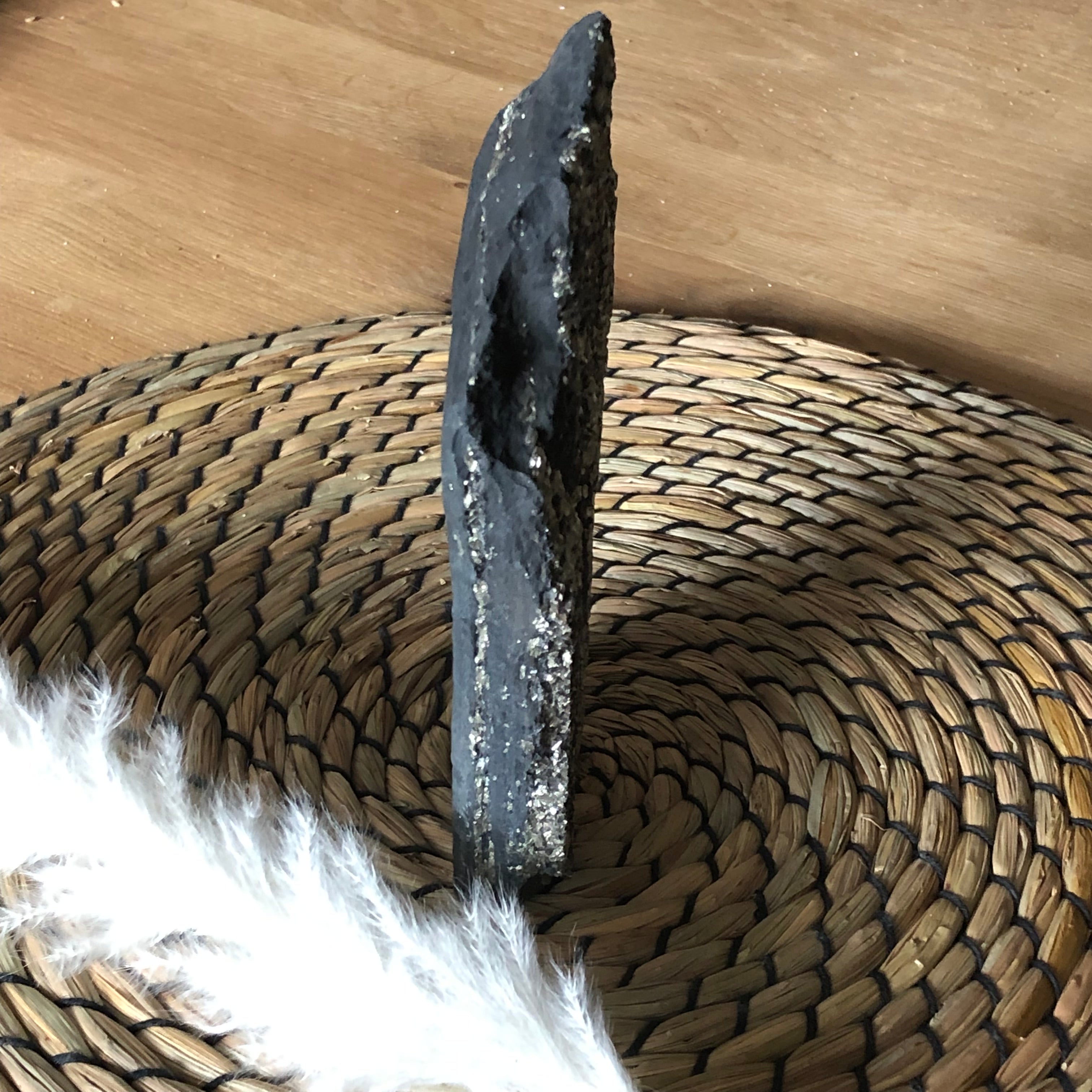 Schungit mit Pyrit freistehend (groß)