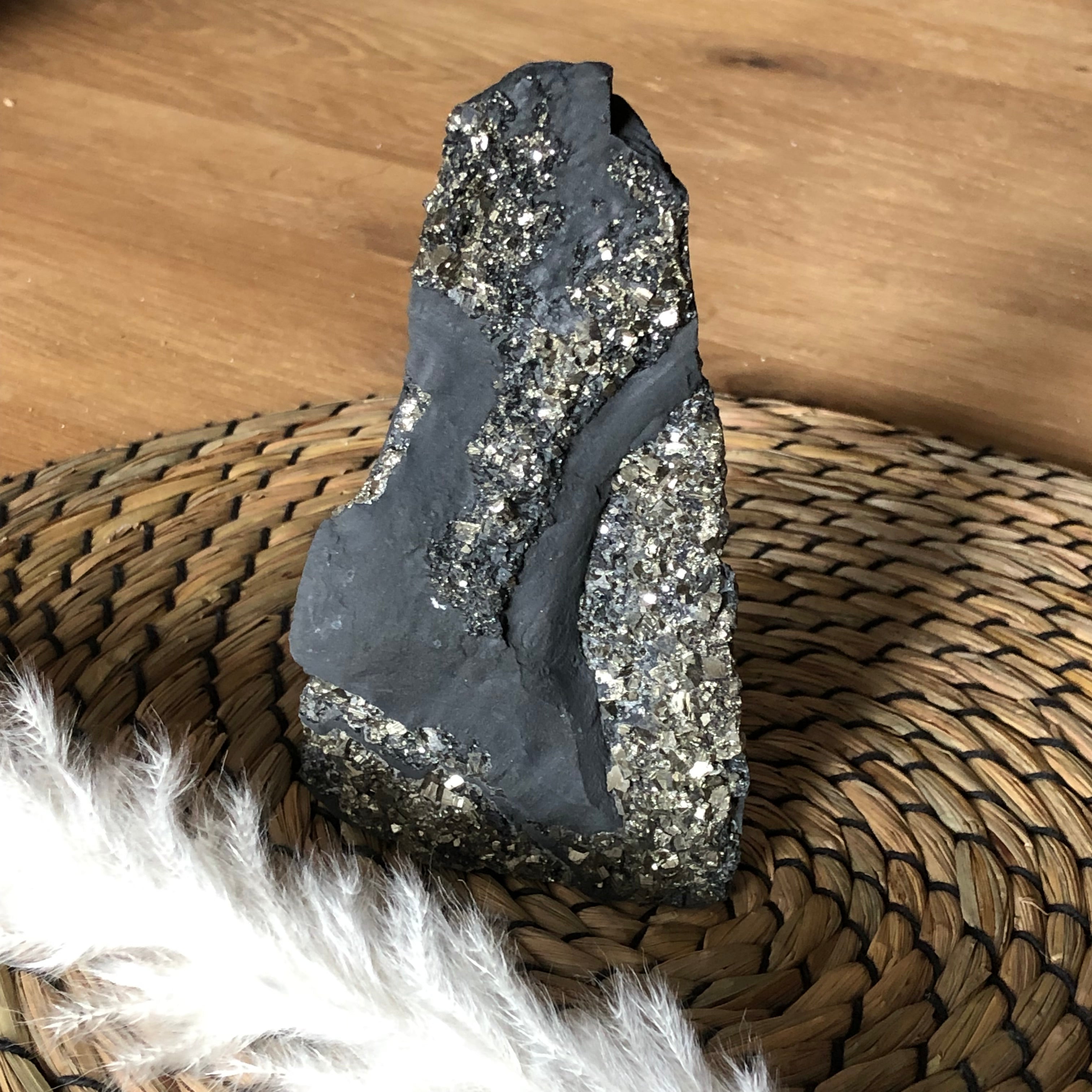 Schungit mit Pyrit freistehend Brasilien
