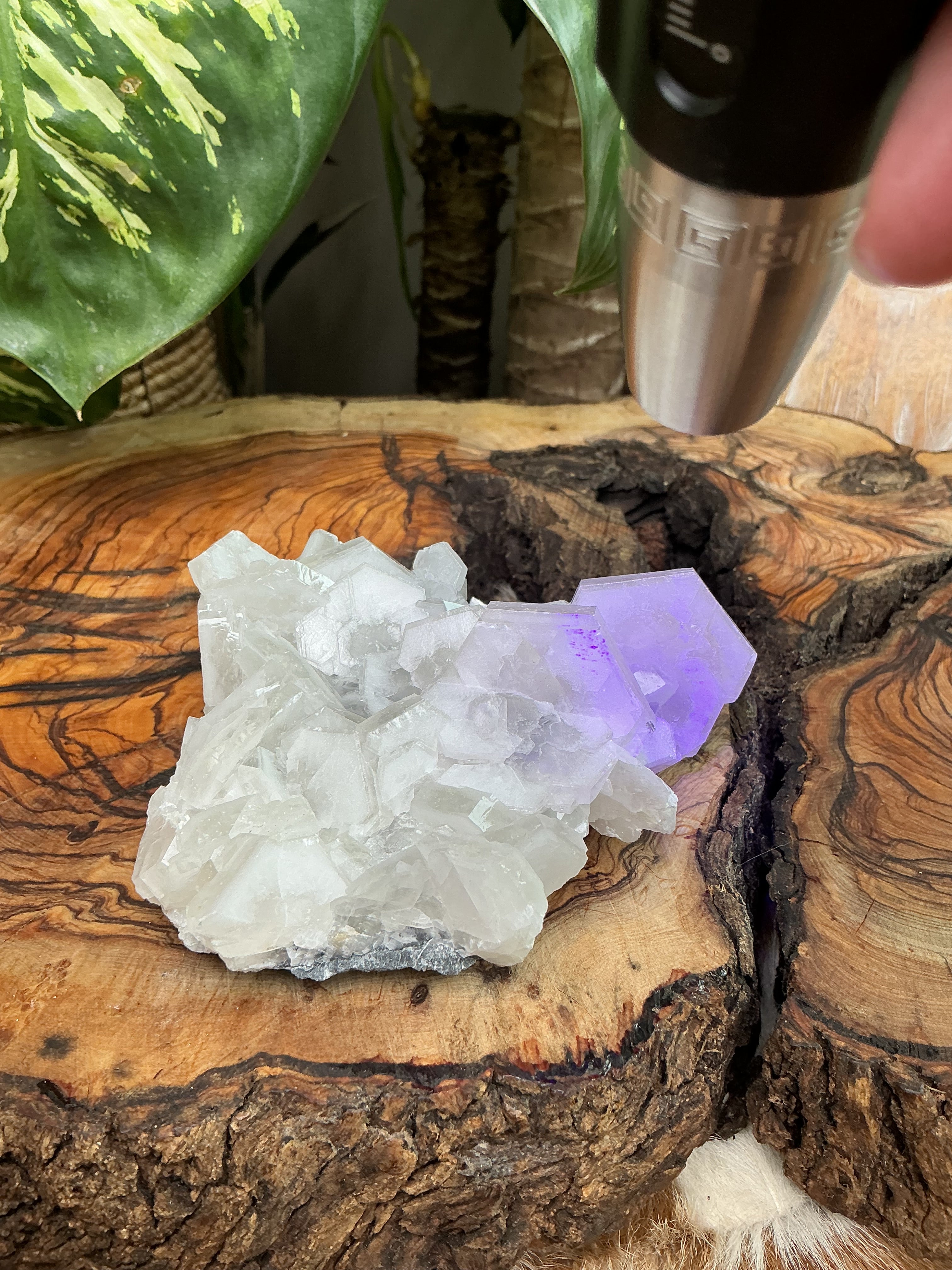 Calcit in fantastischer Hexagon Formation