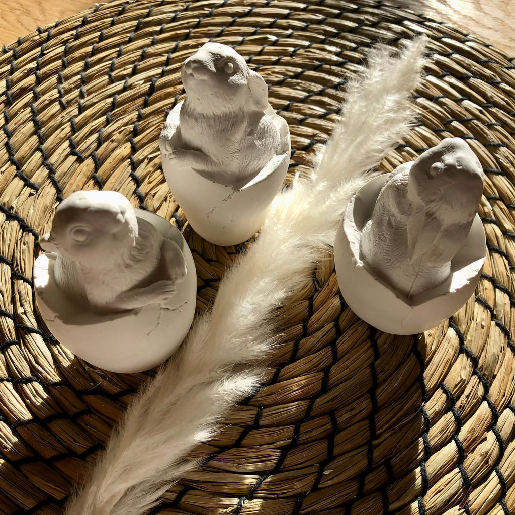 Osterhase im Ei