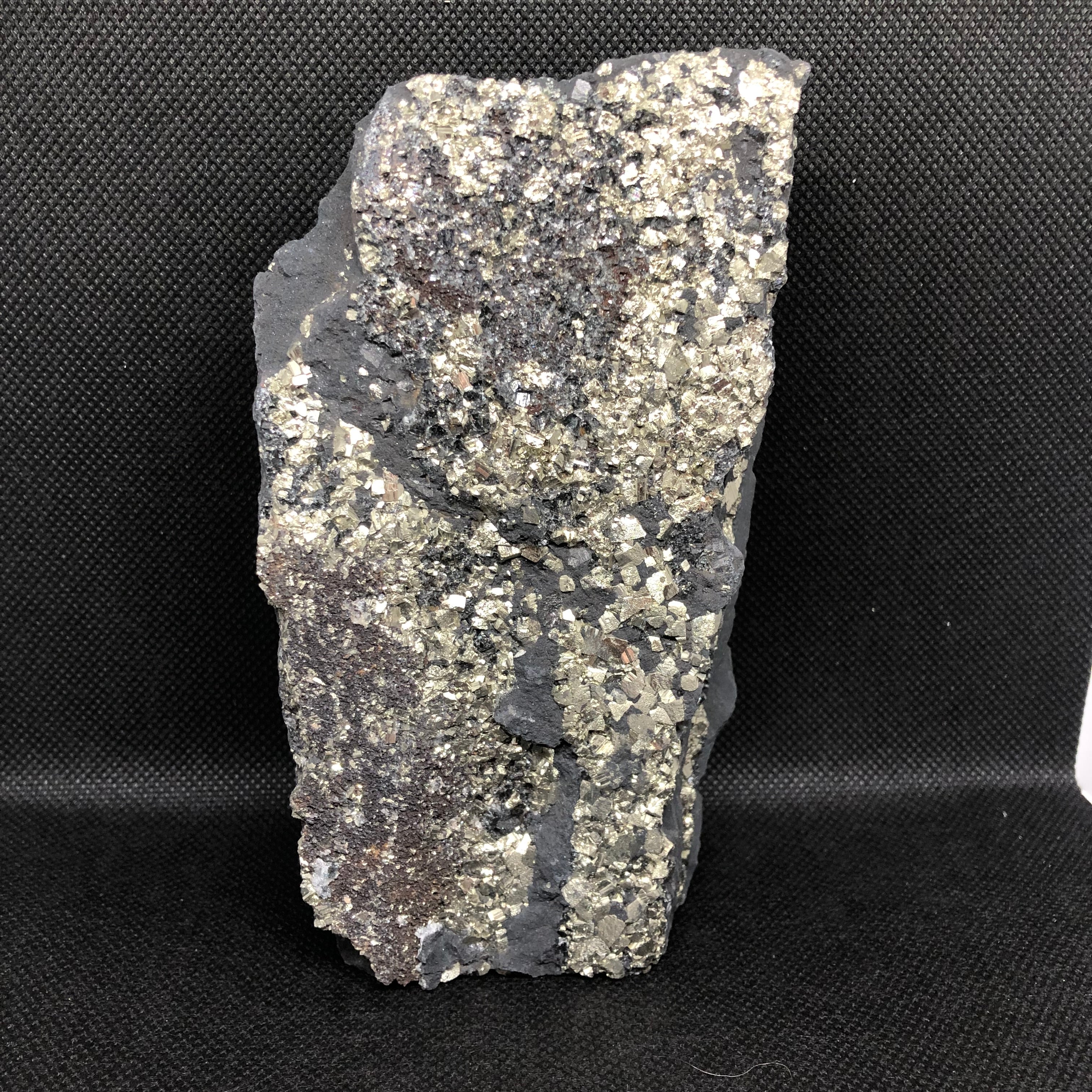 Schungit mit Pyrit freistehend (groß)