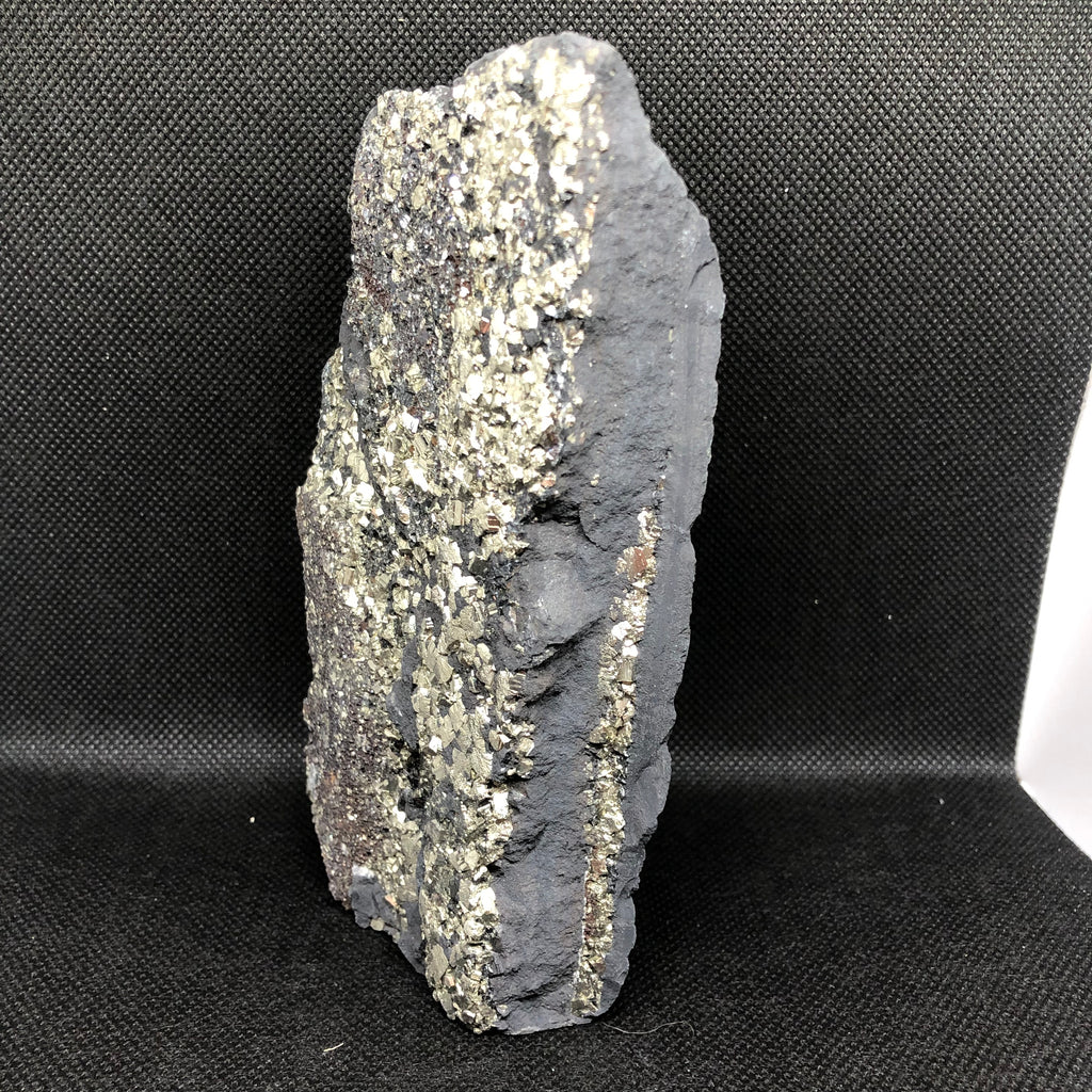 Schungit mit Pyrit freistehend (groß)