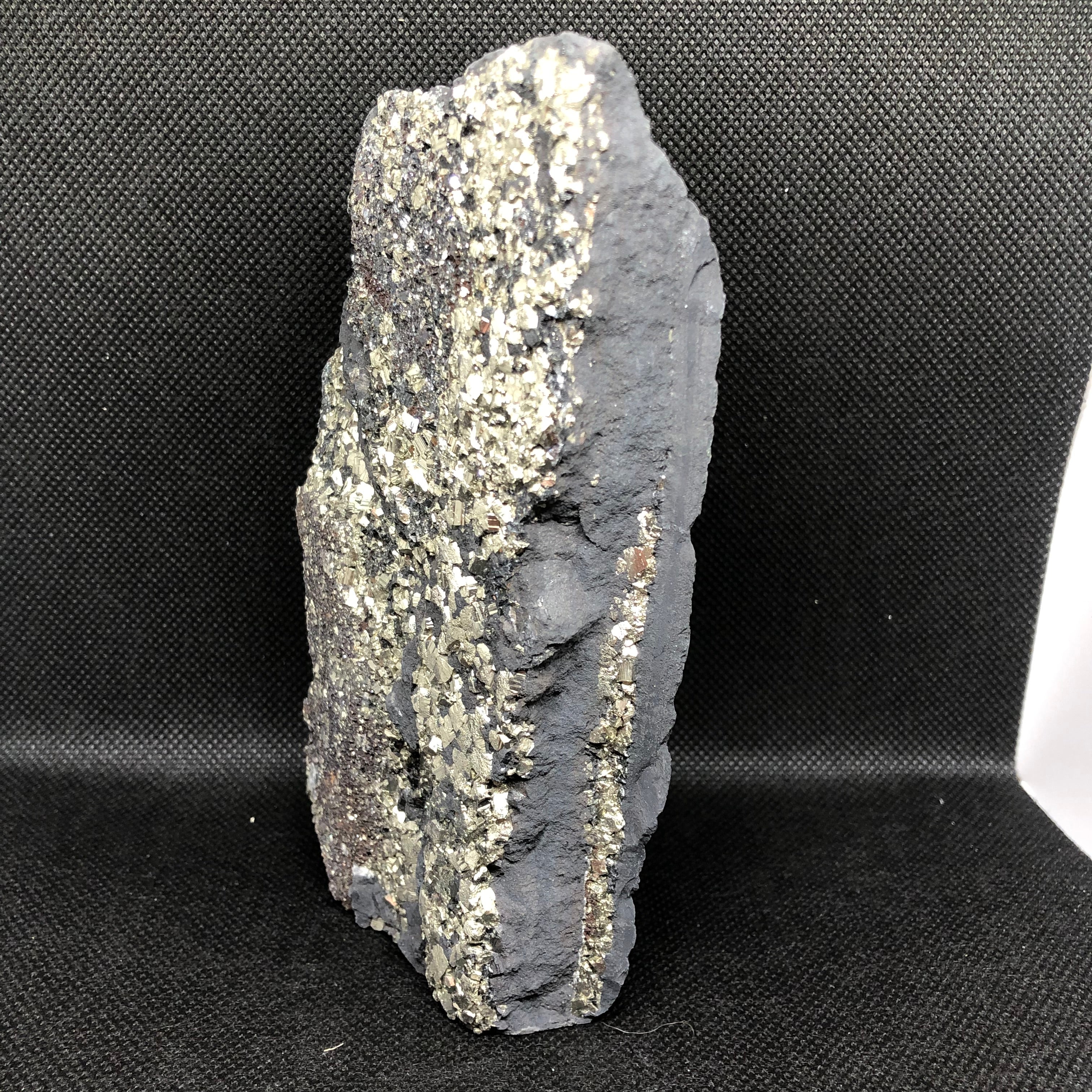 Schungit mit Pyrit freistehend (groß)