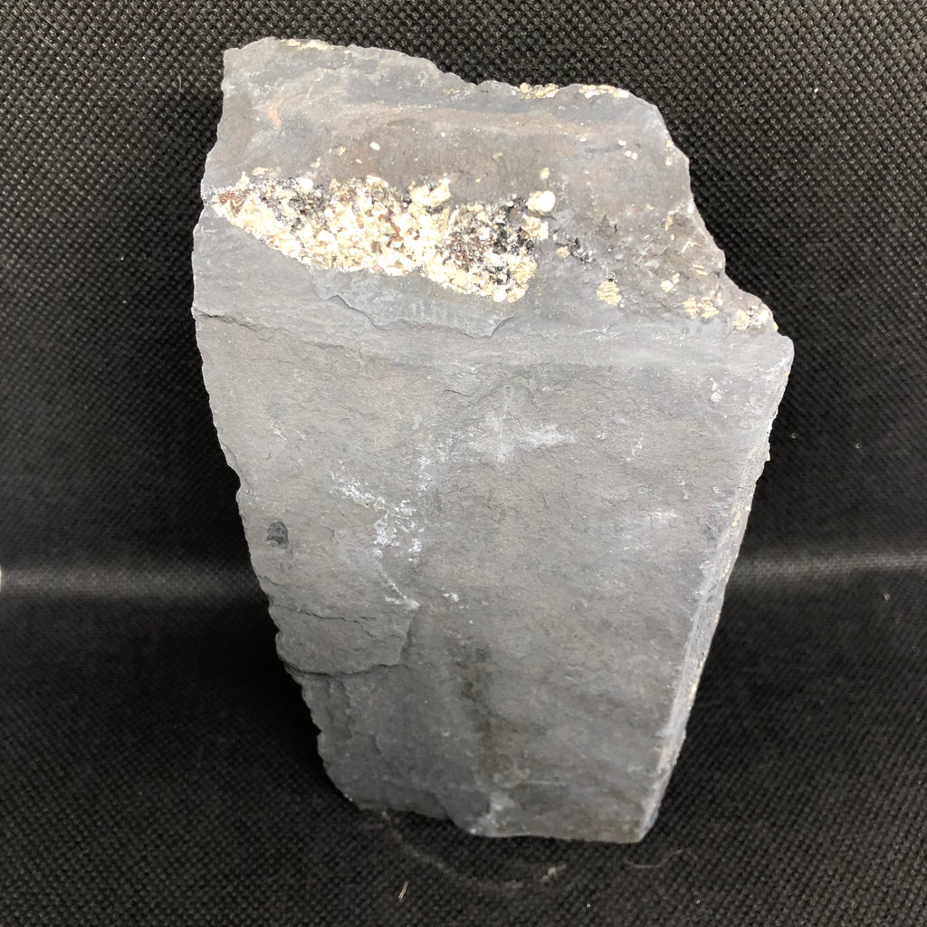 Schungit mit Pyrit freistehend (groß)