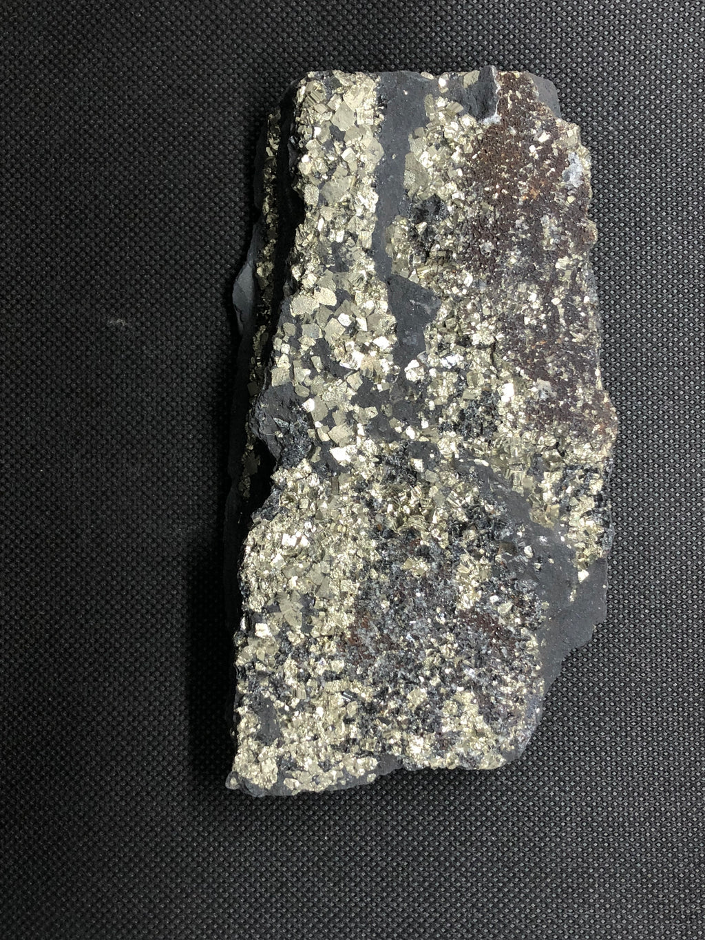 Schungit mit Pyrit freistehend (groß)