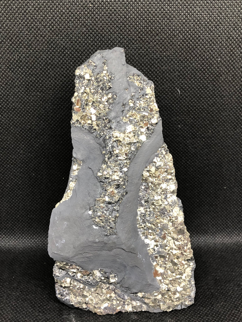 Schungit mit Pyrit freistehend Brasilien