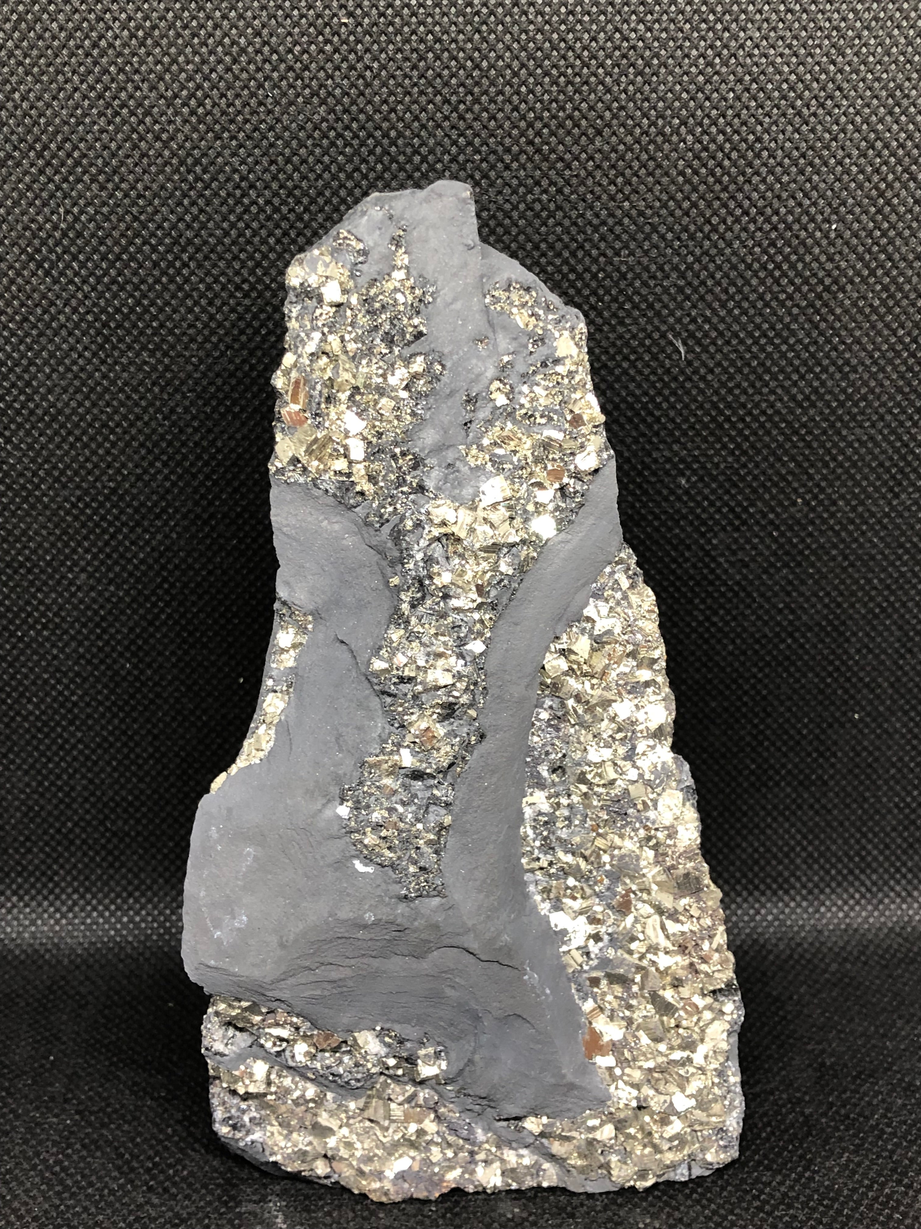 Schungit mit Pyrit freistehend Brasilien