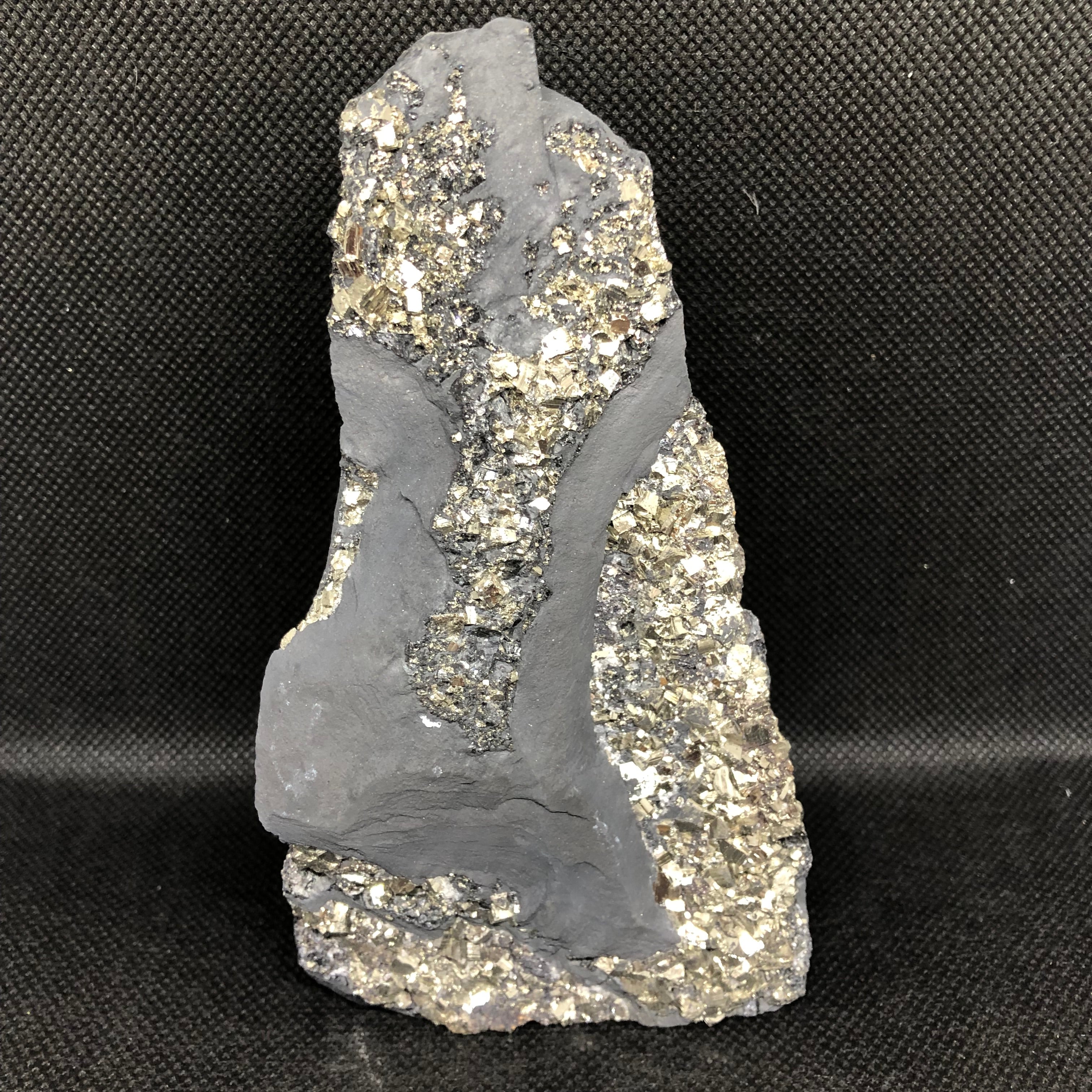 Schungit mit Pyrit freistehend Brasilien