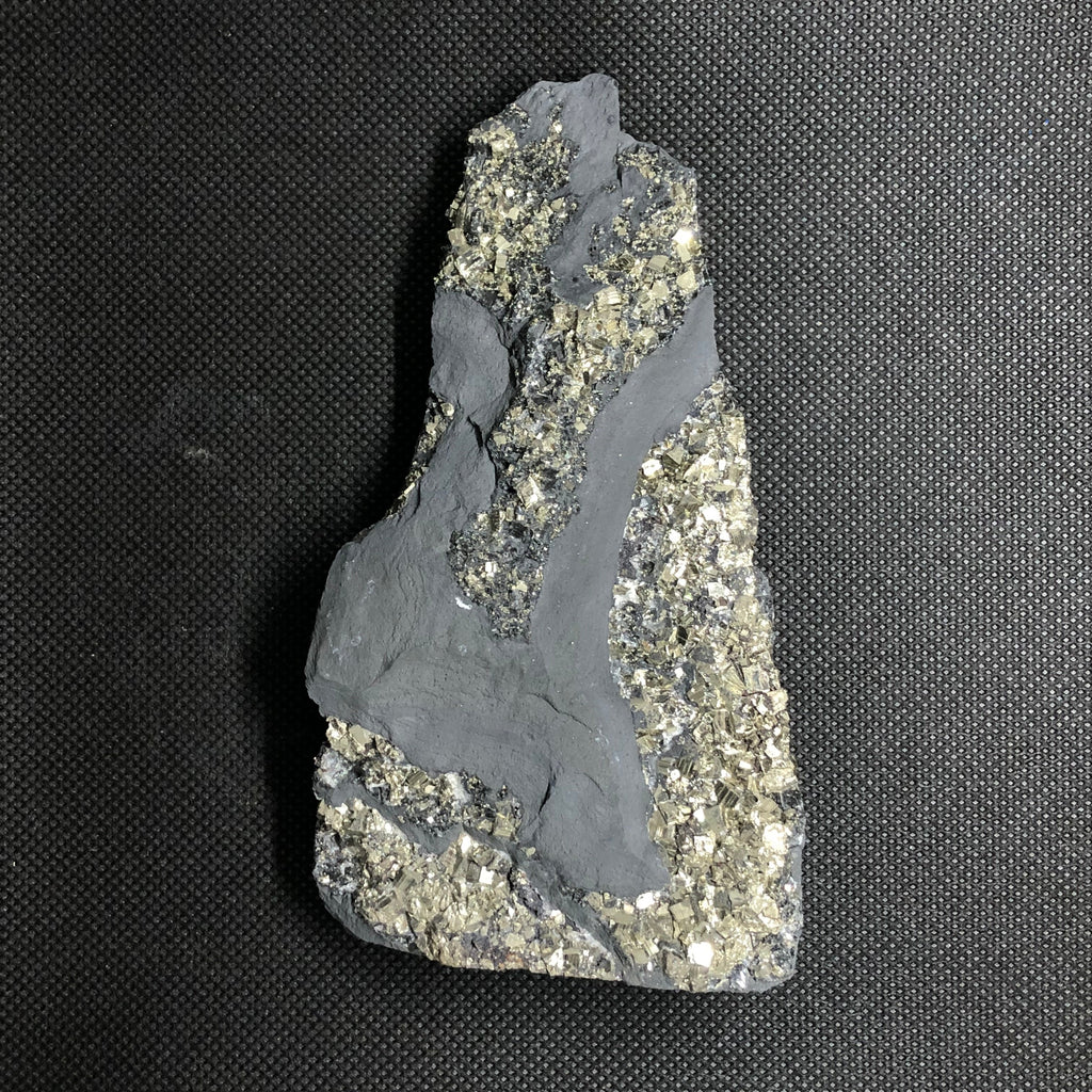 Schungit mit Pyrit freistehend Brasilien