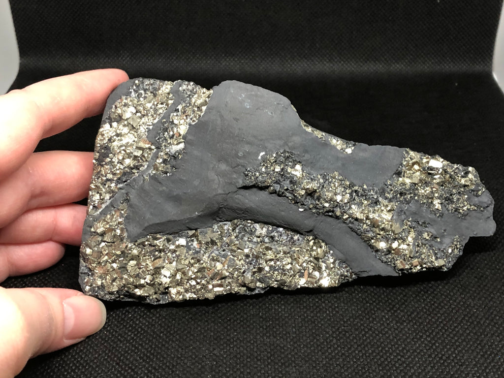 Schungit mit Pyrit freistehend Brasilien