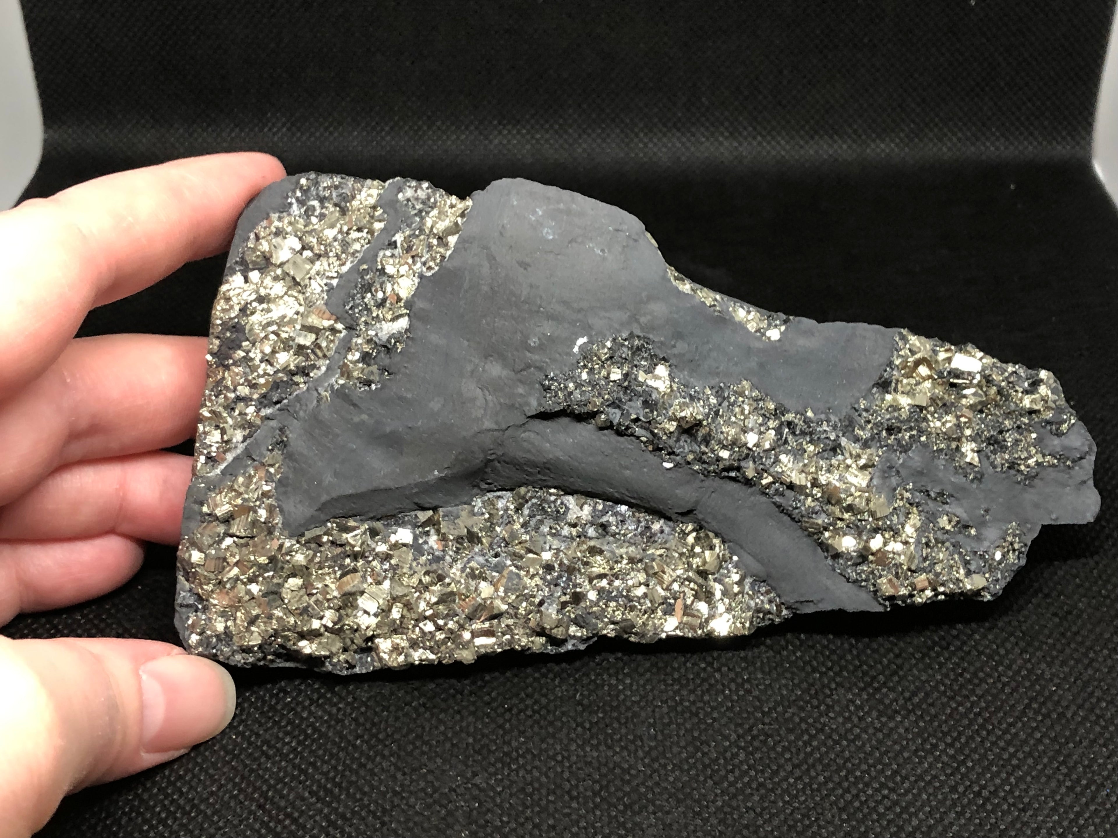 Schungit mit Pyrit freistehend Brasilien