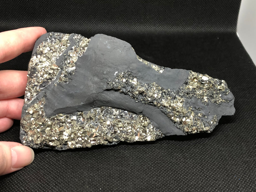 Schungit mit Pyrit freistehend Brasilien