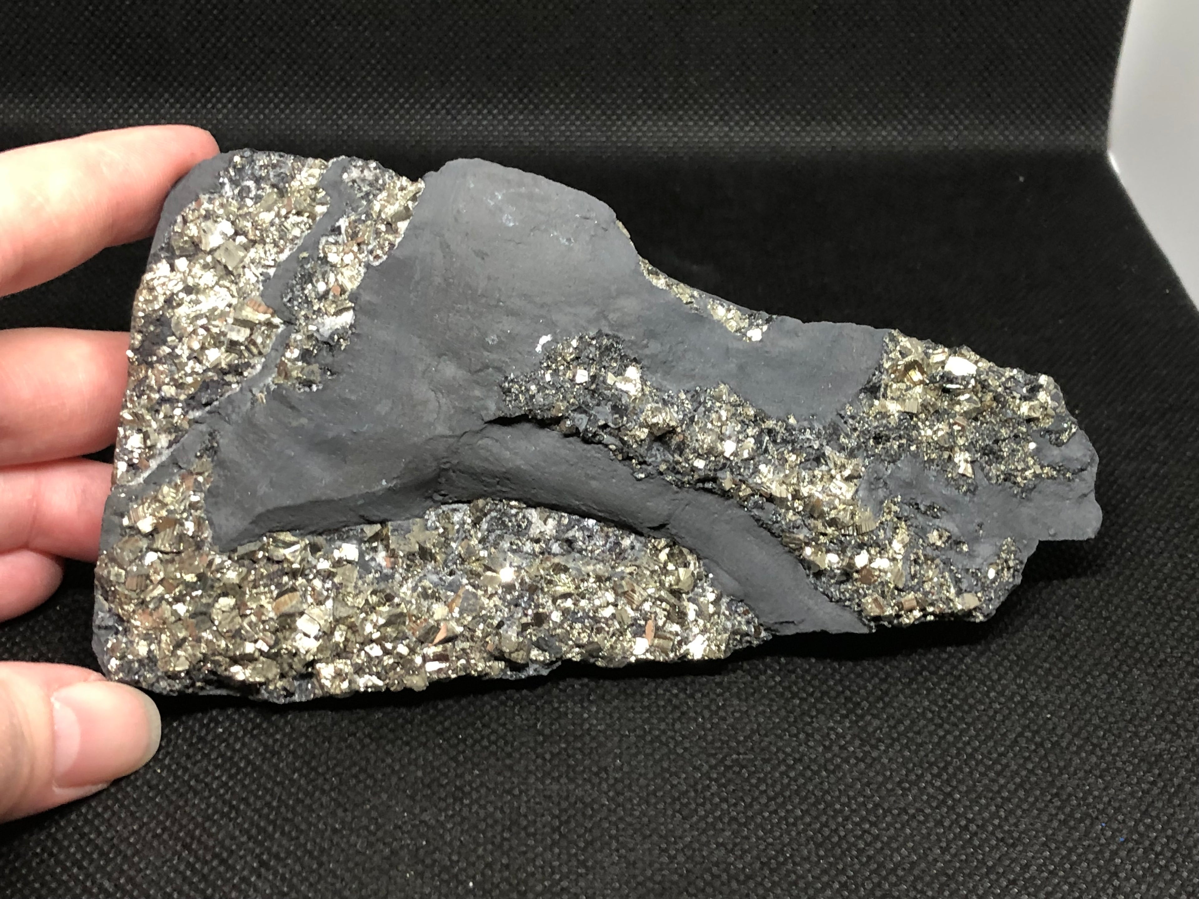 Schungit mit Pyrit freistehend Brasilien