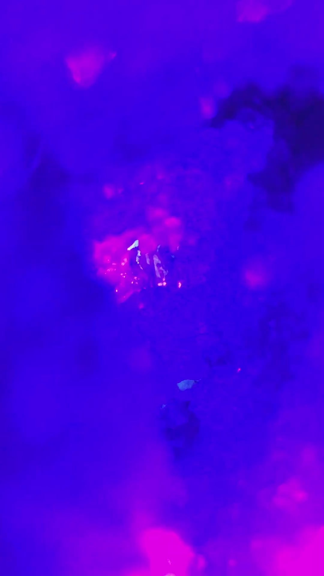 Amethyst Kathedrale Rosa