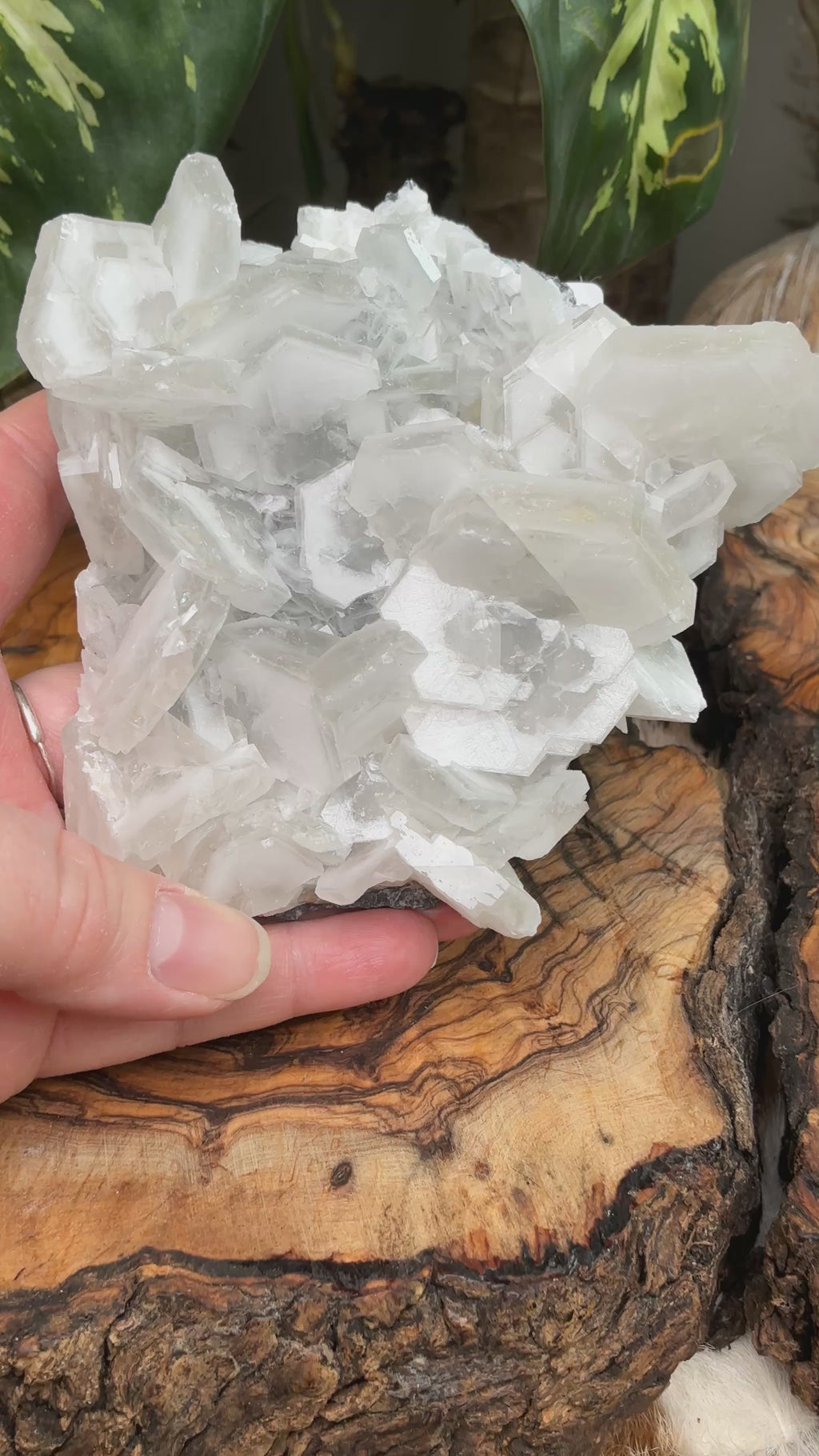 Calcit in fantastischer Hexagon Formation